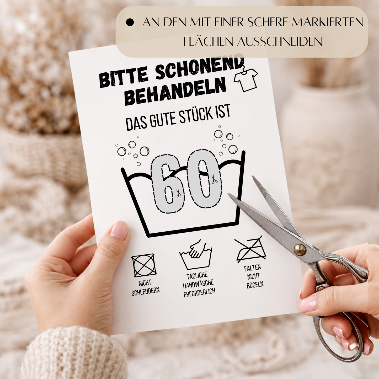 Geldgeschenk zum 80. Geburtstag Waschanleitung mit Euro-Scheinen in der Waschwanne und lustigen Pflegesymbolen, digitaler Download als DIN A4 Printable.