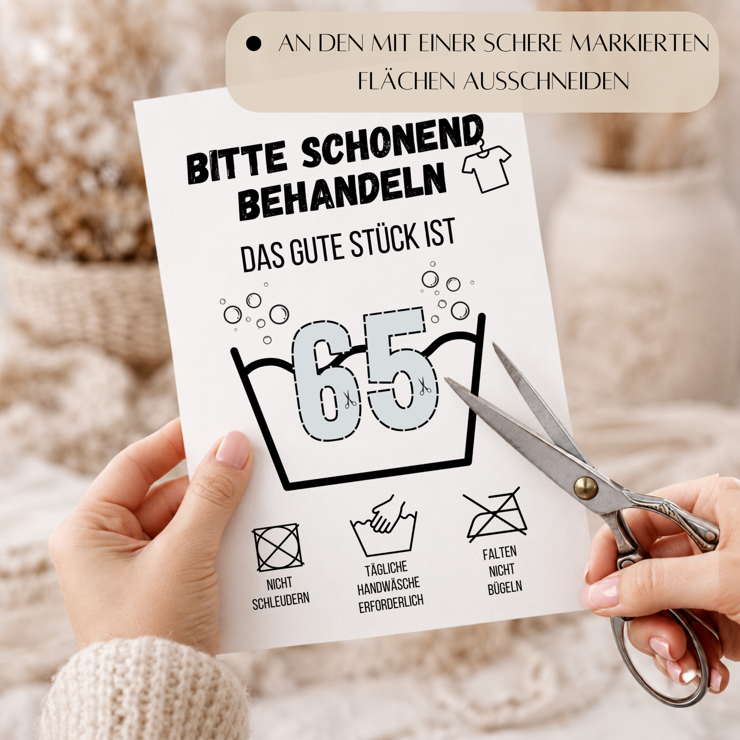 Geldgeschenk zum 65. Geburtstag Waschanleitung mit Euro-Scheinen in der Waschwanne und lustigen Pflegesymbolen, digitaler Download als DIN A4 Printable.