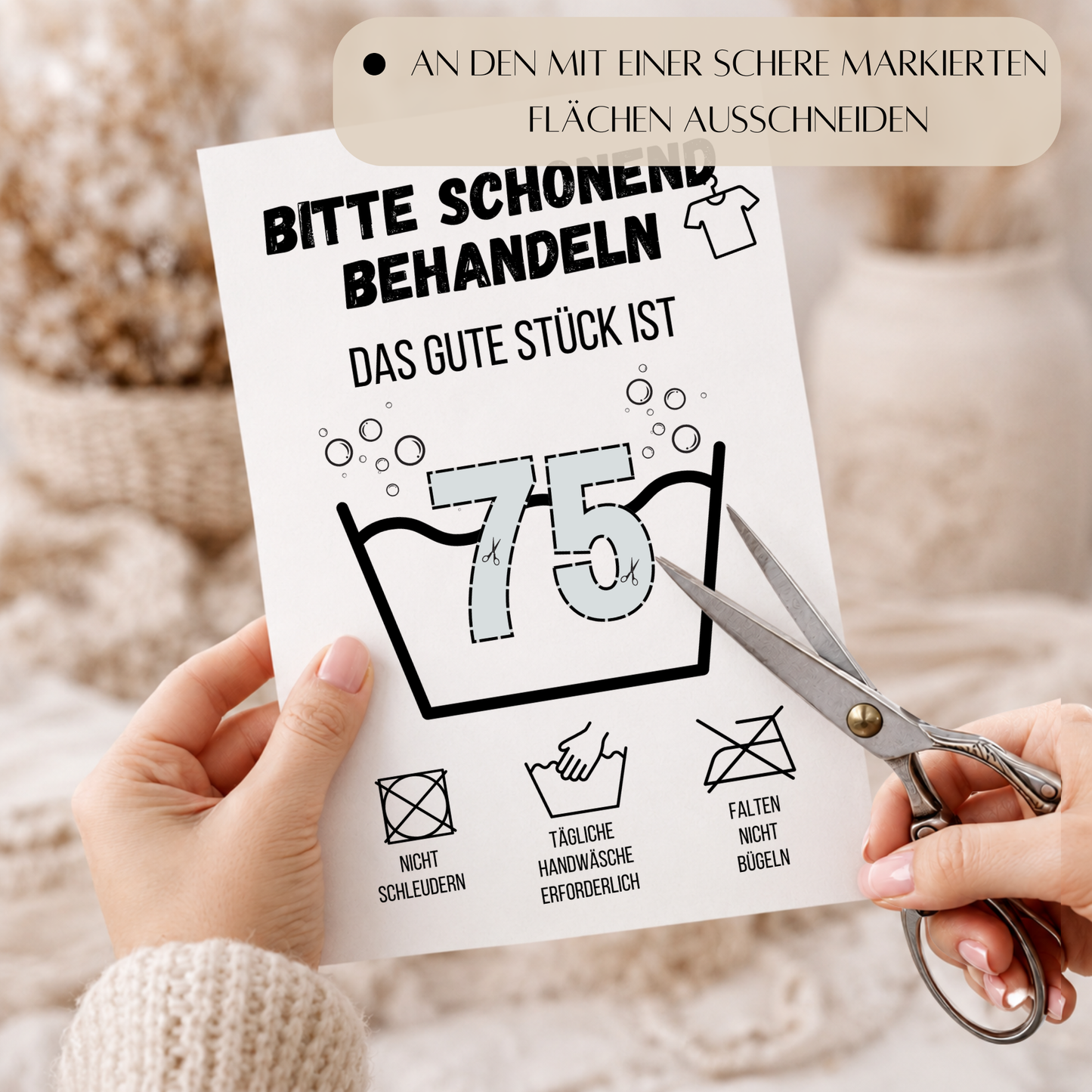 Geldgeschenk zum 75. Geburtstag Waschanleitung mit Euro-Scheinen in der Waschwanne und lustigen Pflegesymbolen, digitaler Download als DIN A4 Printable.