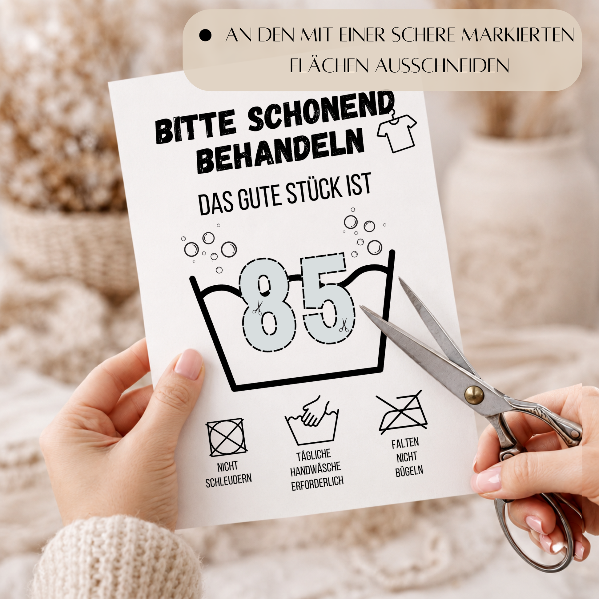 Geldgeschenk zum 85. Geburtstag Waschanleitung mit Euro-Scheinen in der Waschwanne und lustigen Pflegesymbolen, digitaler Download als DIN A4 Printable.